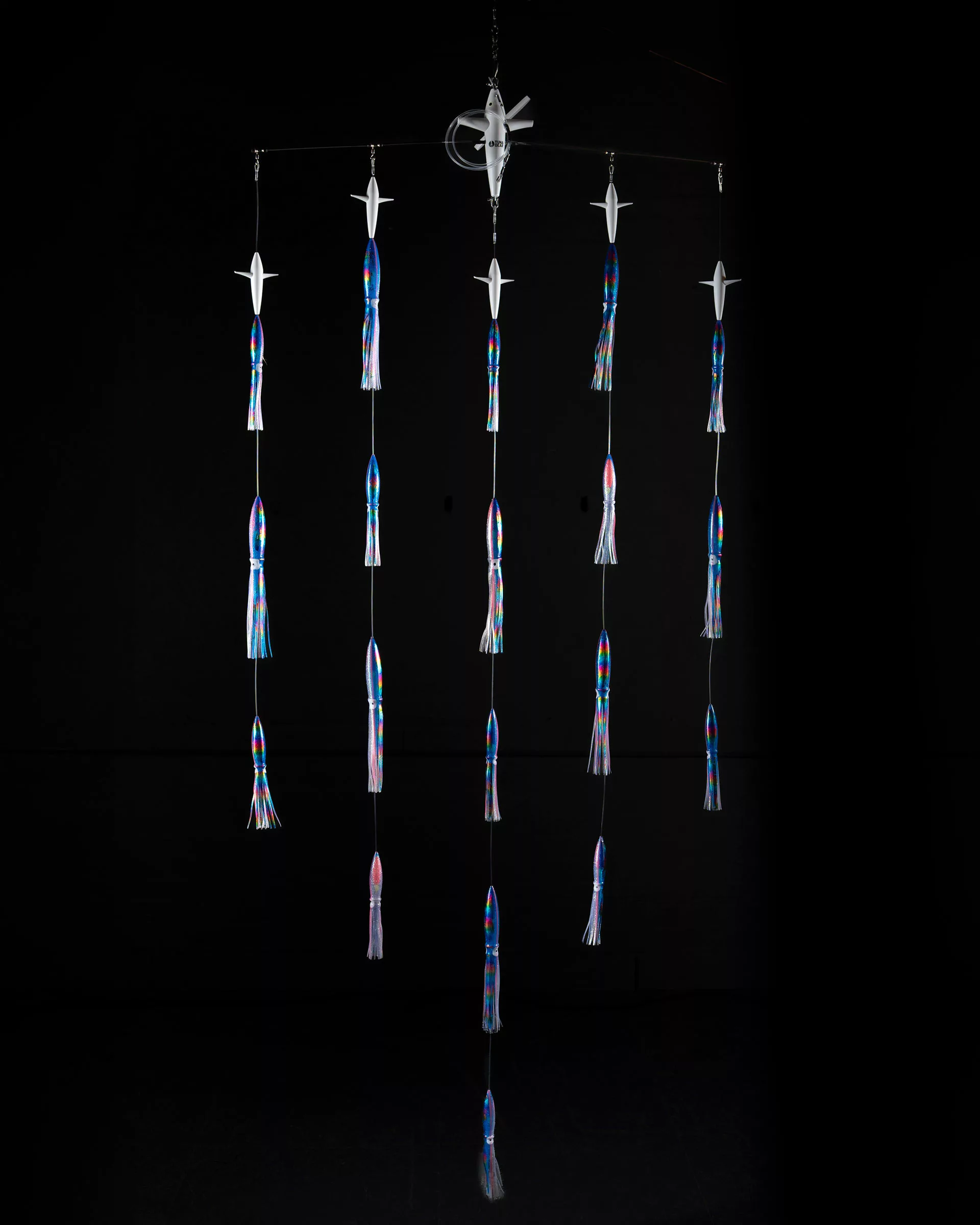 Albacore new arrival featured image