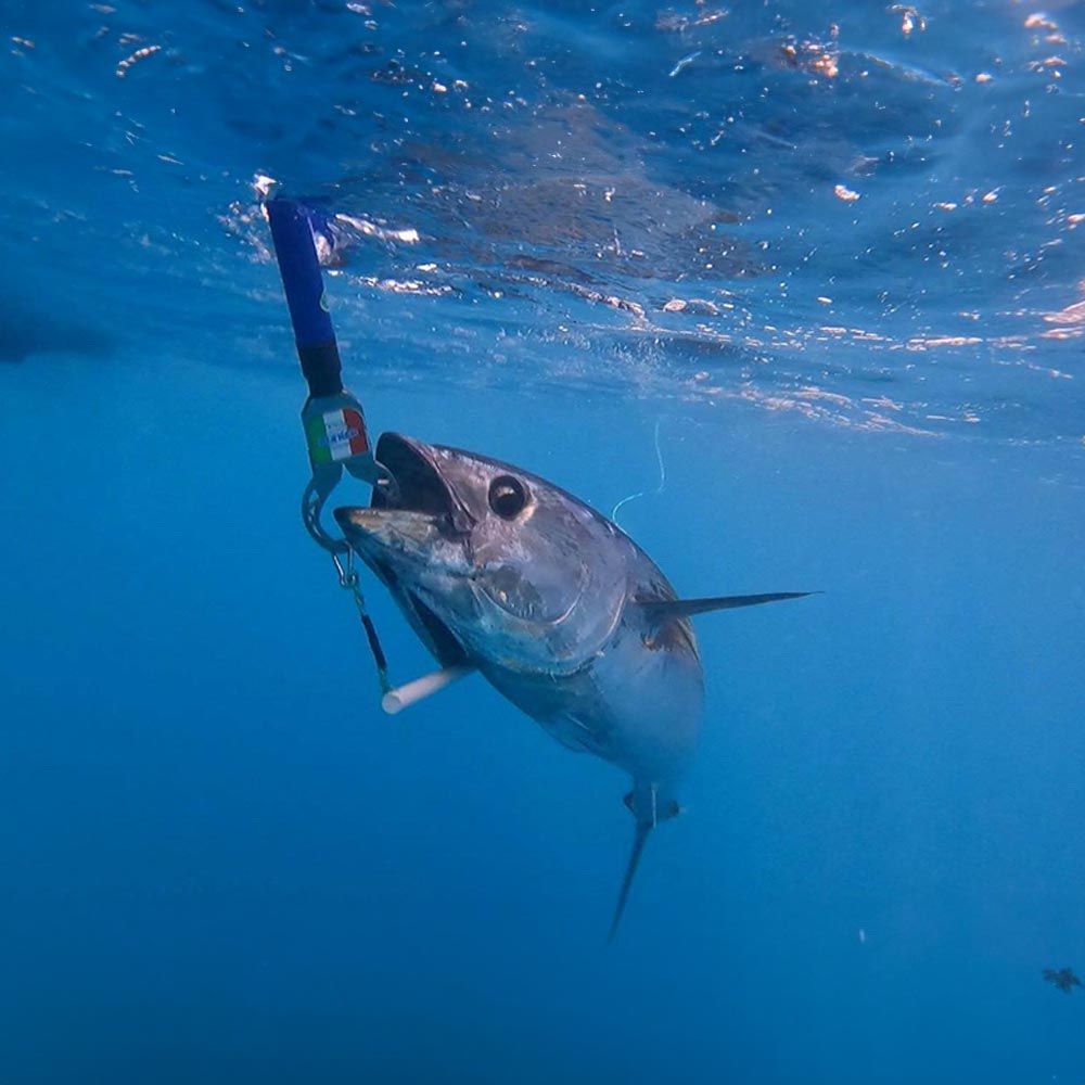Pratiko Lip Grips catching a Bluefin Tuna